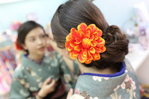 Meet your Posher, Lauren